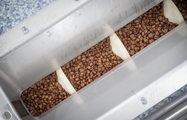 A cable conveyor transporting coffee beans